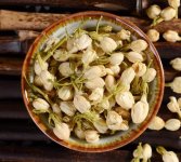 鮮茉莉花怎么炮制成茶？